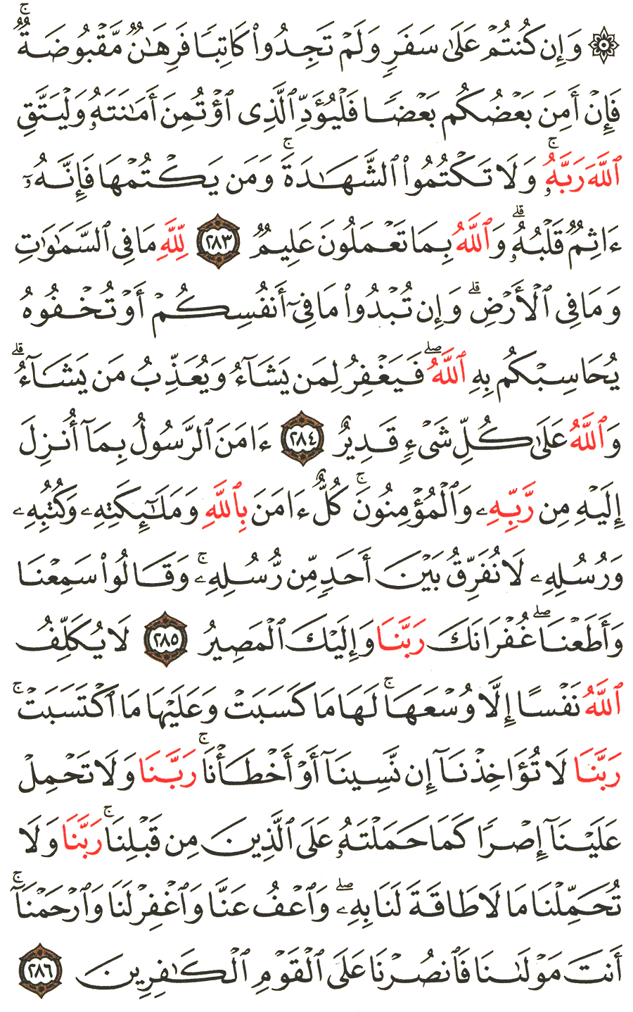 الصفحة رقم 49 من القرآن الكريم مكتوبة من المصحف
