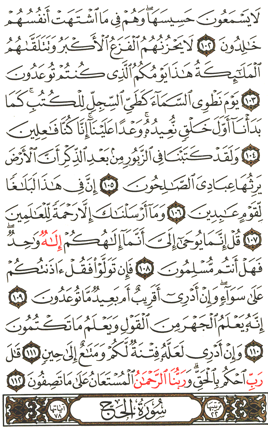 Page No 331   The Noble Quran  