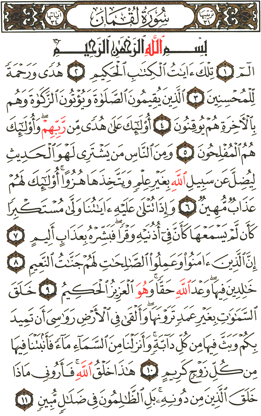 Page No 411  The Noble Quran  