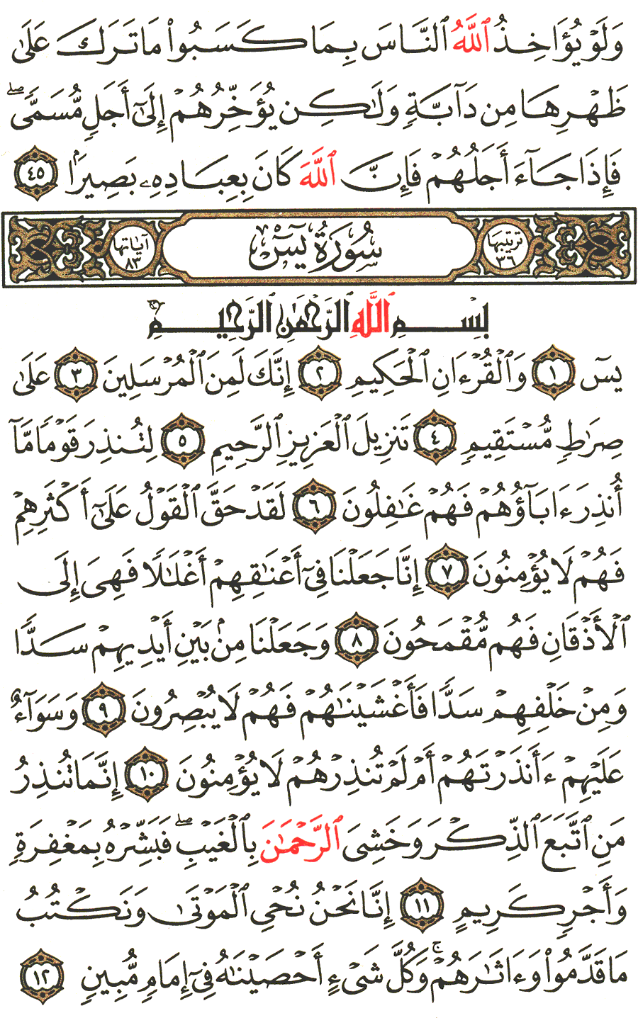 الصفحة رقم 440 من القرآن الكريم مكتوبة من المصحف
