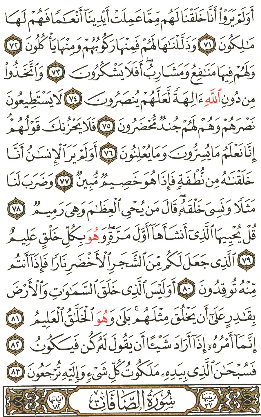 الصفحة رقم 445 من القرآن الكريم مكتوبة من المصحف