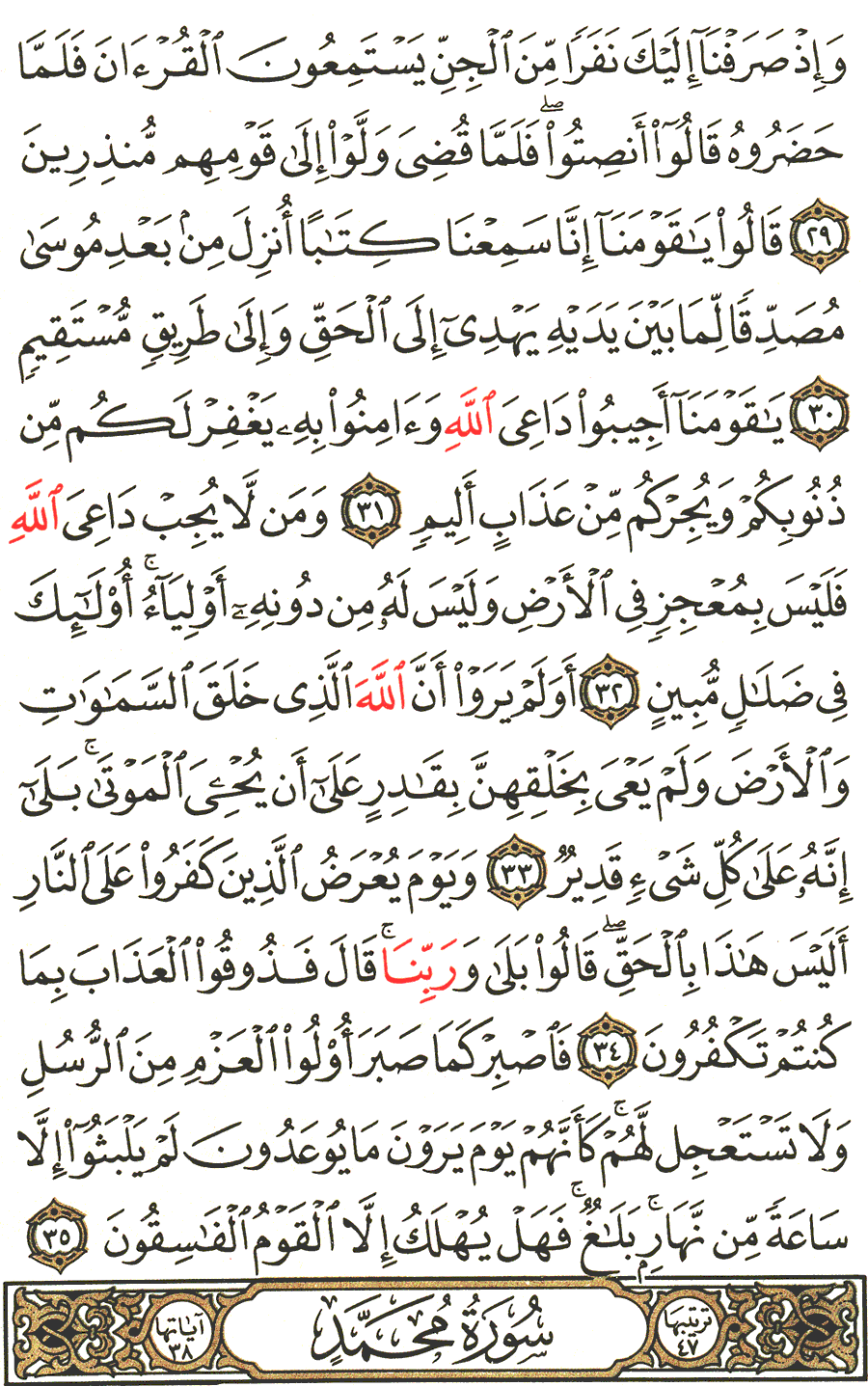الصفحة رقم 506 من القرآن الكريم مكتوبة من المصحف