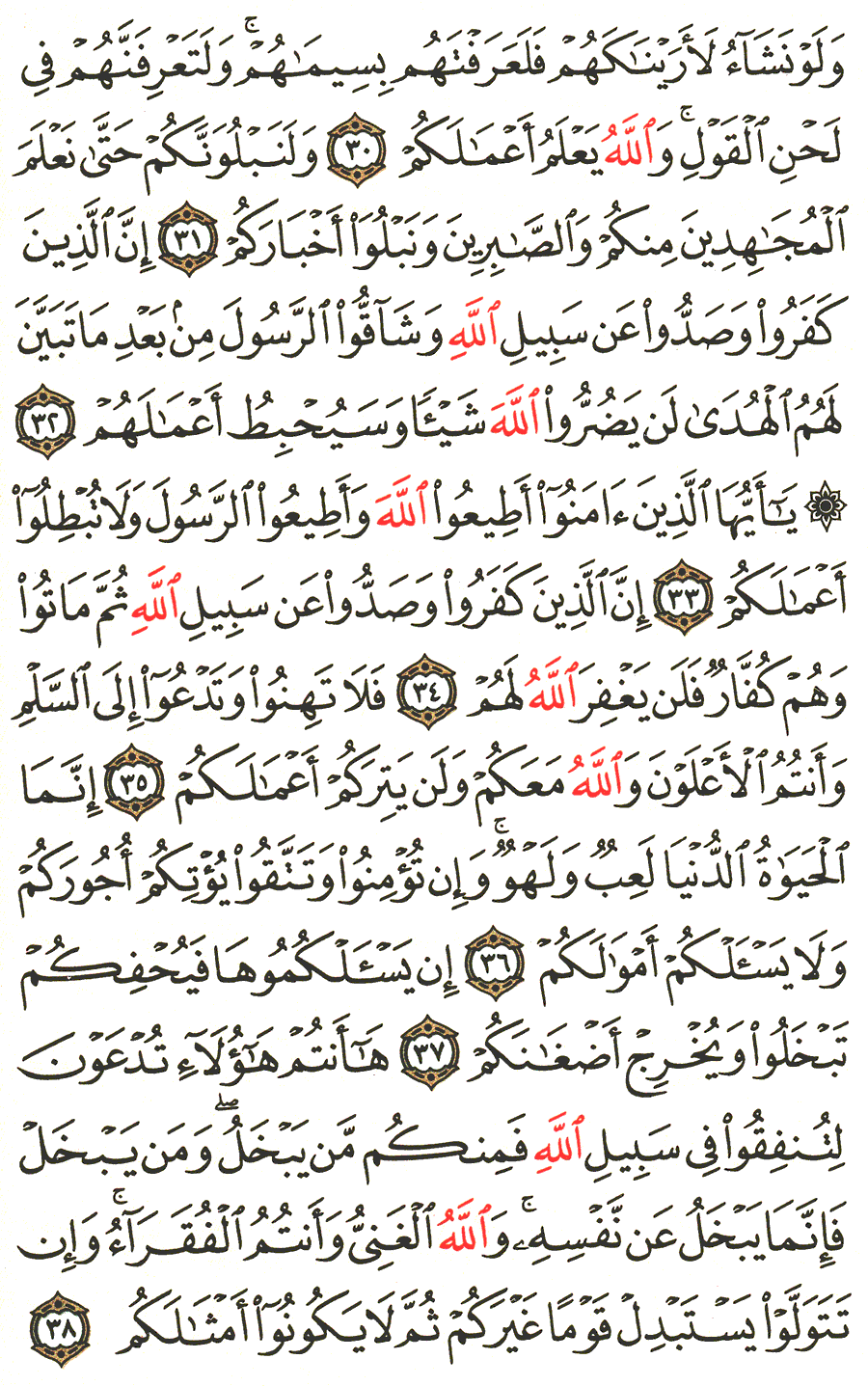 Page No 510  The Noble Quran  