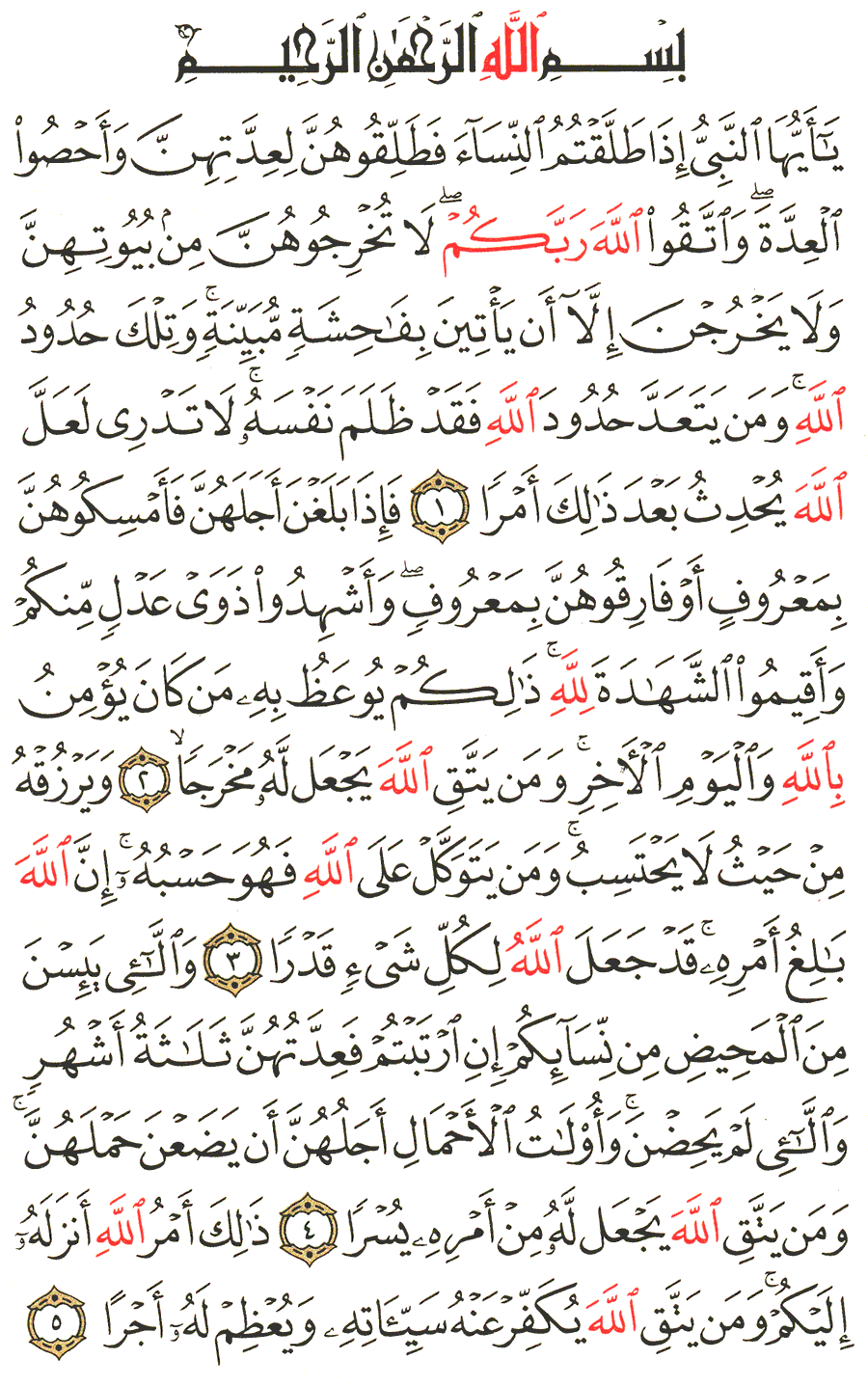 الصفحة رقم 558 من القرآن الكريم مكتوبة من المصحف