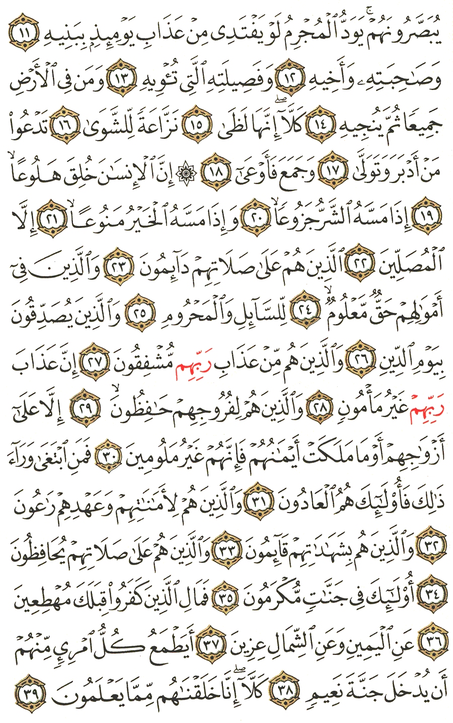 Page No 569  The Noble Quran  