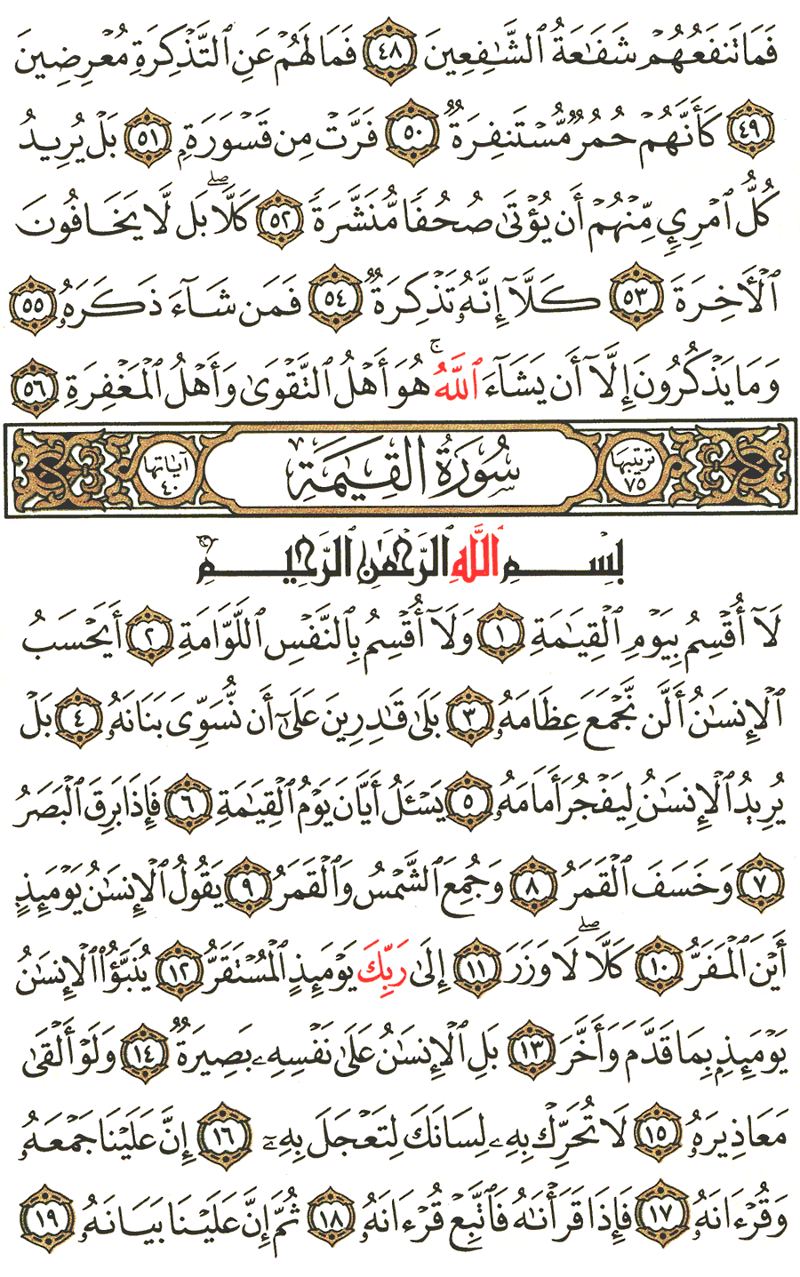 Page No 577  The Noble Quran  